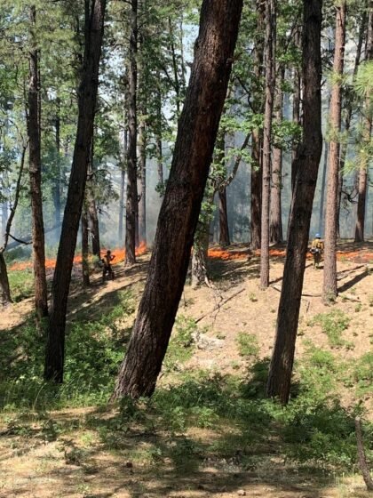 Wilbur Fire remains at 10,279 acres 20230626 usfs wilbur2