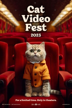 Cat Video Fest is a compilation reel of the latest and best cat videos culled from countless hours of unique submissions and sourced animations, music videos, and classic internet powerhouses.