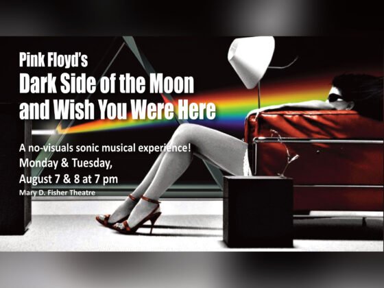 Everyone has experienced 5.1 surround in movie theaters, but hearing Pink Floyd’s “Dark Side of the Moon” and “Wish You Were Here” mixed specifically for six speakers, and played in their entirety is simply astounding. Listeners are immersed in lavish, ever-evolving sonic landscapes that only Pink Floyd commands.
