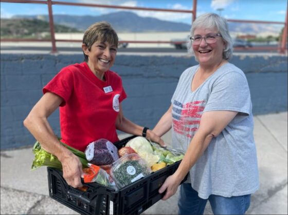 Meal and Grocery Delivery for Seniors at Home