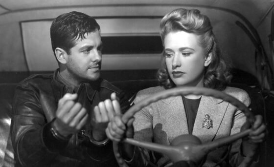 Factory worker Barry Kane (Robert Cummings) is wrongfully accused of setting a deadly fire at an airplane plant in an apparent act of sabotage. Kane believes that the fire was set by another worker (Norman Lloyd), and he travels across the country to find the mysterious saboteur.