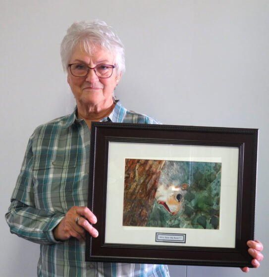 EVAA November meeting and Artist of the Month, Rita Bingham Rita Bingham