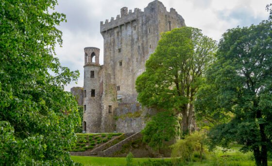 Embark on a thrilling journey to the island of Ireland in the new big-screen documentary “Ireland”, narrated by Liam Neeson. The stunning natural wonders and rich, cultural heritage of the Emerald Isle come alive in this visually-stunning cinematic experience.