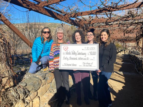 3. Photo Courtesy of Page Springs Cellars (from left to right) Gayle Glomski, Tracey McConnell, Jessye Johnson, Bree Nation, Lauren Maldonado