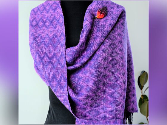 20240219 VVWSG.Photo1 FI