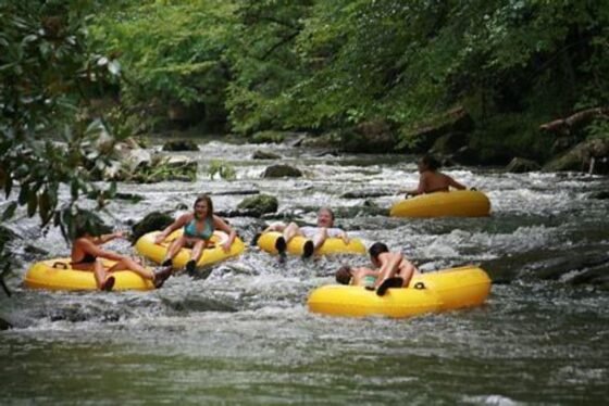 Can You Hear the Roar? 20240223 amaya