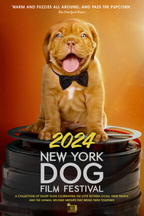 Join us for a family-friendly escape to the movies and celebrate everything DOGS! “New York Dog Film Festival 2024” is a joyous communal experience, only available in theaters, featuring 13 short films.