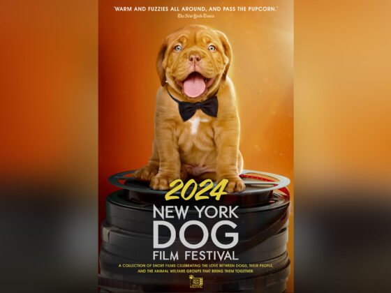 Film Fest presents ‘New York Dog Film Festival’ premiere March 15-19 Join us for a family-friendly escape to the movies and celebrate everything DOGS! “New York Dog Film Festival 2024” is a joyous communal experience, only available in theaters, featuring 13 short films.