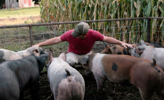 Sedona Film Festival presents ‘Food, Inc. 2’ premiere April 9 “Food, Inc. 2” reveals how corporate consolidation has gone unchecked by our government, leaving us with a highly efficient yet shockingly vulnerable food system dedicated only towards increasing profits.