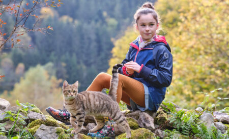 Clémence rescues a kitten named Lou in her Parisian attic, and they form an unbreakable bond. They venture to the countryside for her family's vacation, where Lou's curiosity leads to thrilling adventures in the woods.