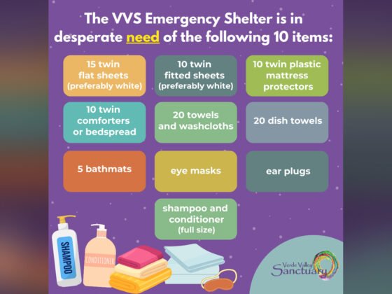 20240502 10ThingsVVSNeeds FI