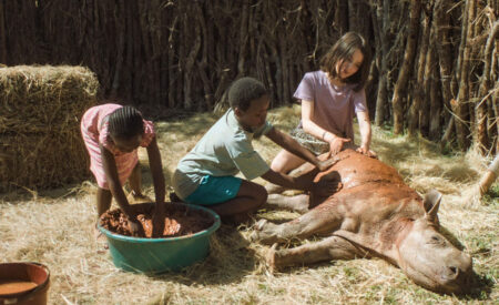 Thabo (11) wants to become a private detective. If only his home — a small African village —was not the most peaceful Savannah paradise in “Thabo and the Rhino Case”.