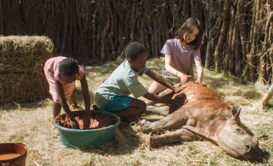 Thabo (11) wants to become a private detective. If only his home — a small African village —was not the most peaceful Savannah paradise in “Thabo and the Rhino Case”.