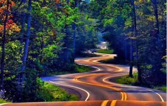 A Twist on Life’s Winding Road 20240518 amaya