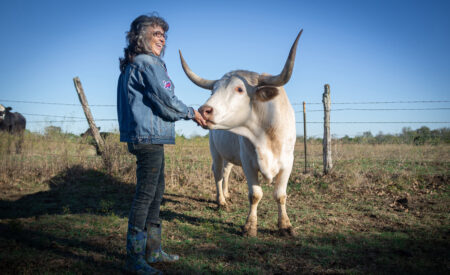 Sedona Film Festival presents ‘Rowdy Girl’ premiere June 14-19 After a spiritual awakening, a former Texas cattle rancher leaves the cruel cycle of animal agriculture and transforms her husband’s beef operation into a sanctuary in “Rowdy Girl”.