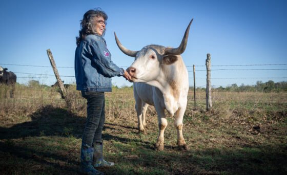 After a spiritual awakening, a former Texas cattle rancher leaves the cruel cycle of animal agriculture and transforms her husband’s beef operation into a sanctuary in “Rowdy Girl”.
