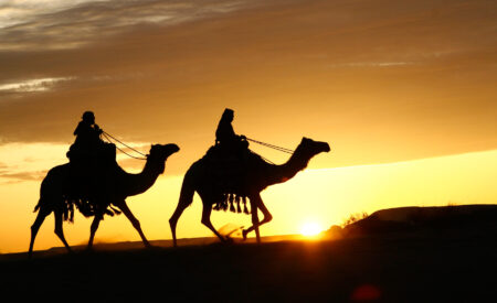 Fest presents ‘Mystery of the Nile’ and ‘Arabia’ double feature June 21-27 “Arabia” takes viewers deep into the heart of this exotic land where they’ll experience firsthand the mystique of Arabia both past and present.