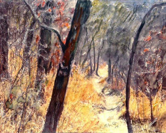 Forest Pathway by John Oakes