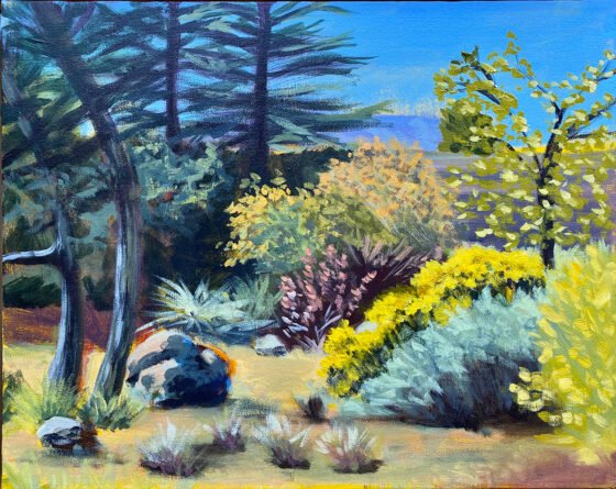 Art as a Lens for the Natural World Ben Norton - Spring on the Verde Campus