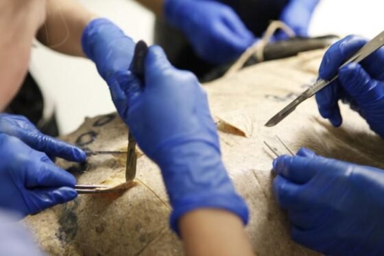 The Chapter Titled Awakening in the Story of Me 20240823 amaya