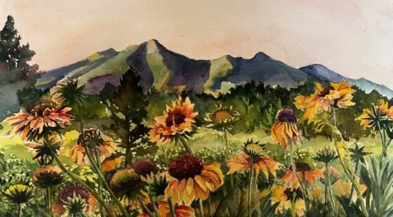 Julie Ronning Talbot, Flagstaff Flowers, Watercolor