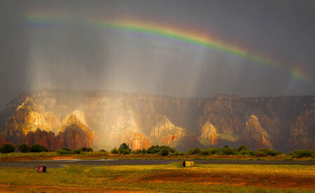 “The Beauty of Northern Arizona … and Everything” will highlight some of the most beautiful photographs and photographic art captured and produced by Ted Grussing over the last thirty years. The show will feature everything from straight photography to his “artist unleashed” images that are as much a reflection of his visualization of nature and wildlife as they are of his exceptional photographic skills.