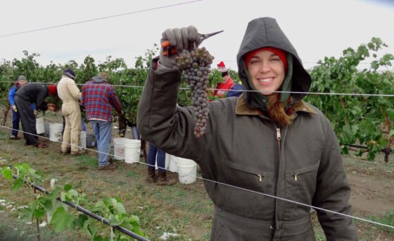 Sedona Film Fest presents ‘Radiating Joy’ premiere Nov. 12 “Radiating Joy: The Michelle Duppong Story” is the story of Servant of God Michelle Duppong, who bore witness to Christ through heroic suffering and a passion for inviting others to be transformed by His love.