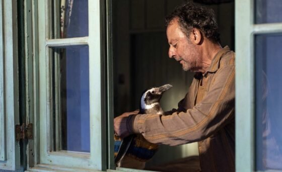 A sweeping family adventure, "My Penguin Friend" is a triumphant tale of friendship between a lonely father and the little lost penguin DinDim who recharges his spirit and heals his family with an unshakable, ocean-crossing loyalty.