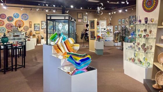 20241114 VanGoghsEar