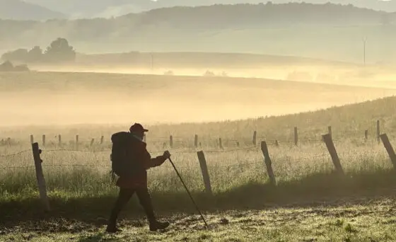 Based on the best-selling Camino memoir, “The Way, My Way” written by Bill Bennett, the film documents one man's journey along the Camino de Santiago, searching for meaning, not realizing it was right in front of him, one step at a time.