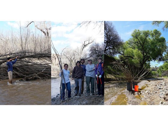 Arcosanti Presents Two River Habitat Restoration Weekend Workshops this Winter 20250123 arcosanti FI