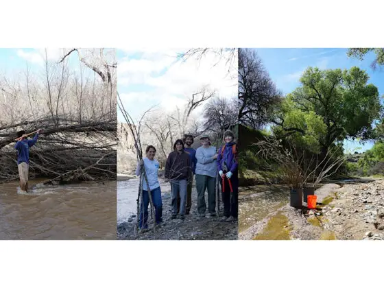 Arcosanti Presents Two River Habitat Restoration Weekend Workshops this Winter
