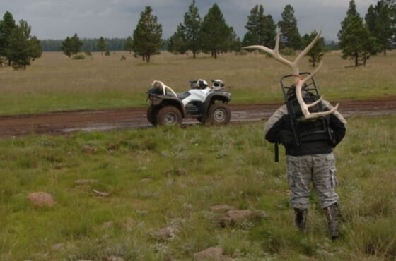 20250311 wild arizona sheds february 2025