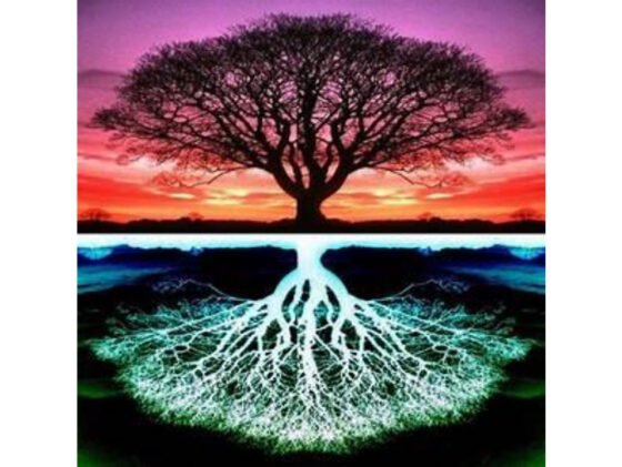 A Proving Ground for Love 20250329 amaya FI