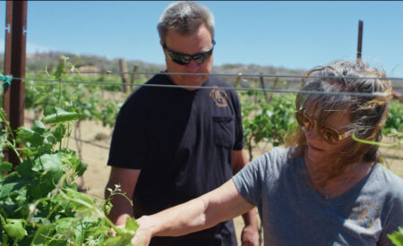 Film Festival presents ‘Vintage Arizona: The Heart of Winemaking’ May 4 “Vintage Arizona: The Heart of Winemaking” showcases the challenges and triumphs of Arizona’s winemakers, celebrating their resilience and passion in crafting award-winning wines.