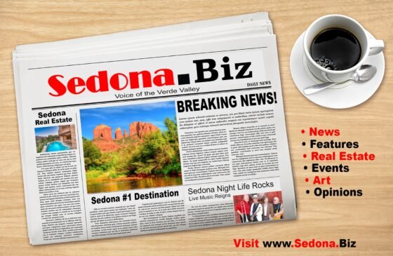 274807088 7310908838950109 2985297995879041221 n