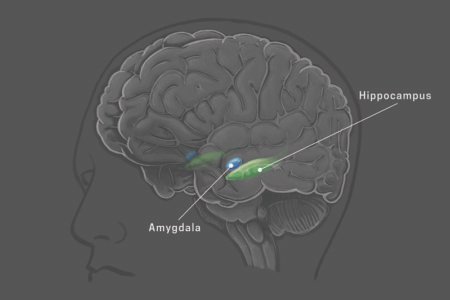 LLMs, Brain Science: Crime Prevention By Consequences Memory, Aside Motives