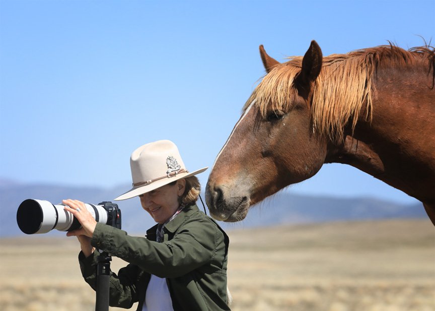The Fine Art of the Horse: Light, Landscape, and the Equine Spirit