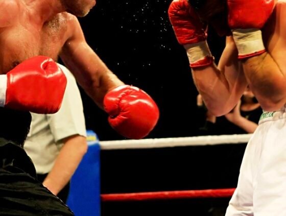 The Fury of Fury Boxers