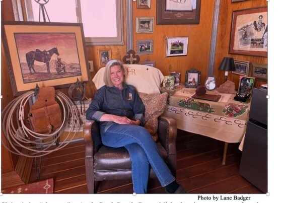 Supervisor Donna Michaels Interview — Campaigning to Regenerate Rural Arizona Donna Michaels pic.1