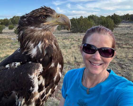 Film Festival hosts ‘Eagles Soaring for Freedom’ presentation Nov. 11 Eagles Soaring 5