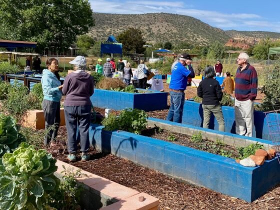 Free Rotary Garden Fest Highlights Fall Splendor Garden Tour