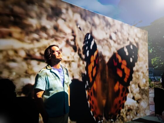 “Imagine a Cave” Opens Up the World of YMAX "Imagine a Cave" Opens Up the World of YMAX