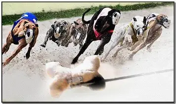 Run, Rusty, Run!