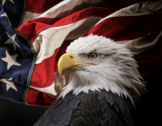 Screen Shot 2022 06 11 at 12.19.19 PM