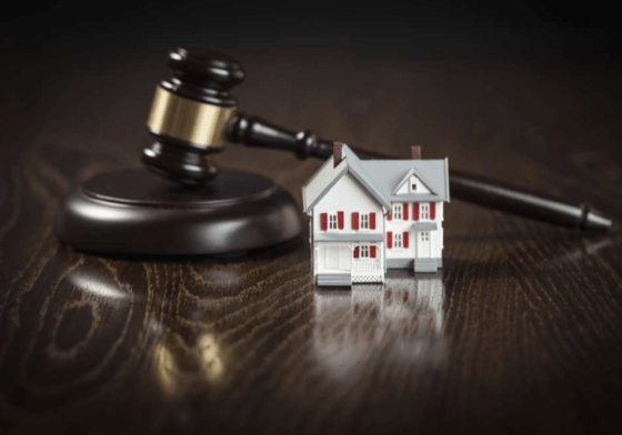 Deciding How to Vote on Home Rule Screen Shot 2022 07 22 at 5.28.10 PM