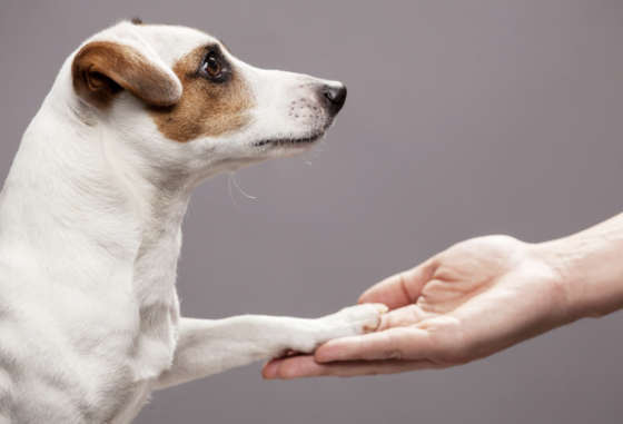 Screen Shot 2023 03 05 at 2.14.07 PM