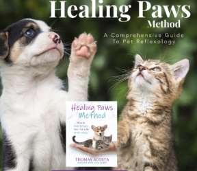 Pet Reflexology