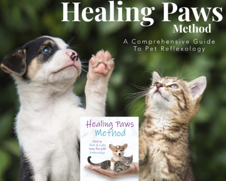 Keeping Our Pets Happy and Healthy HolisticallyPet Photos