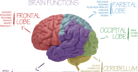 Does Brain Science Support Warning Labels on Social Media for Mental Health?